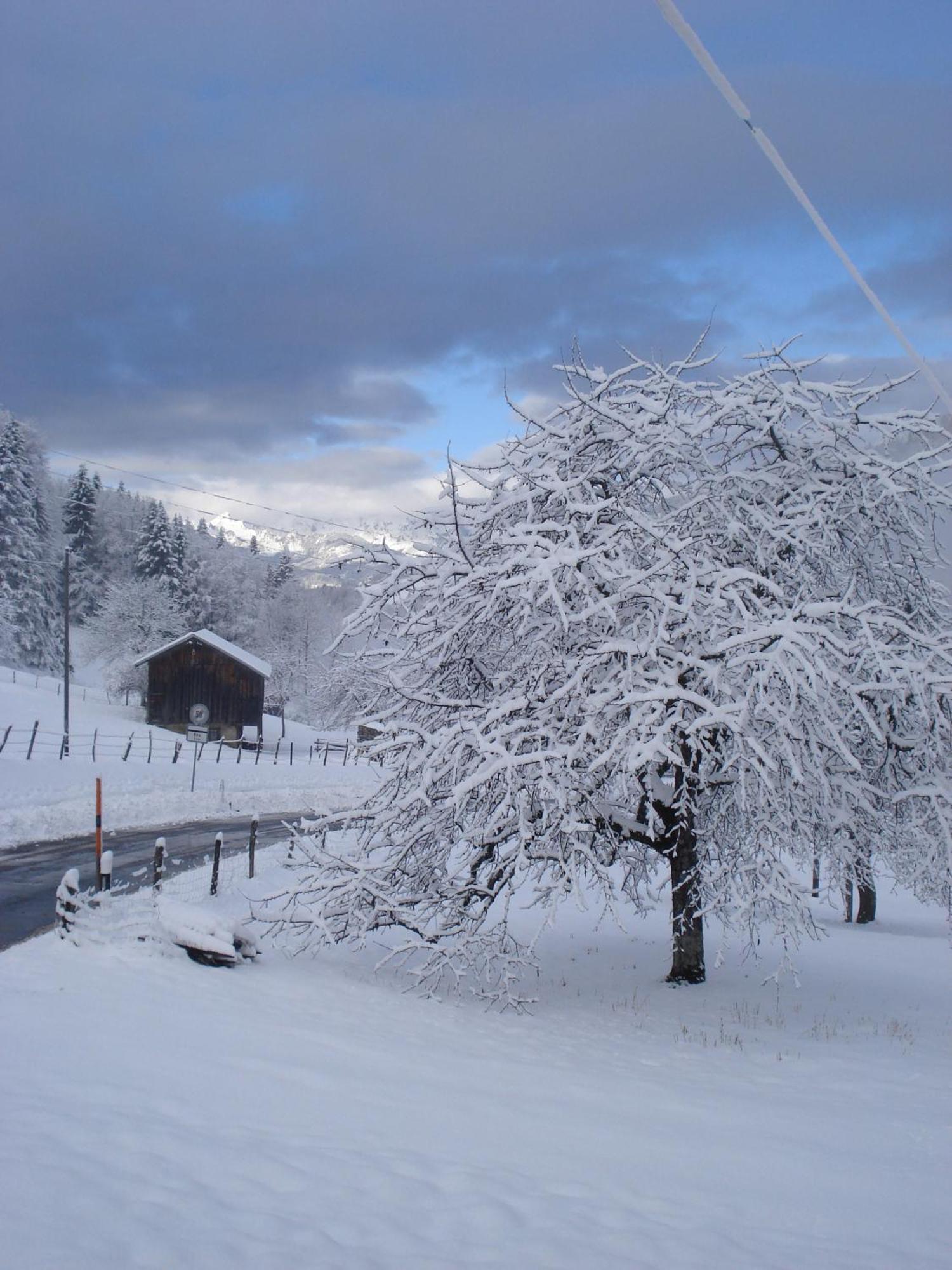 Heidi'S Guesthouse Frenieres ภายนอก รูปภาพ