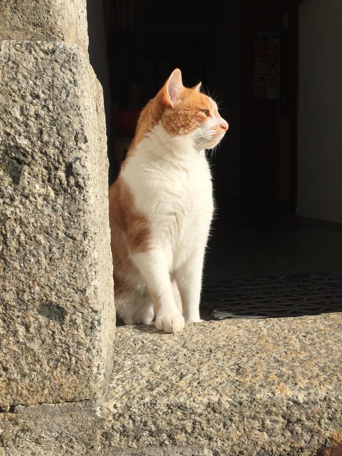 Heidi'S Guesthouse Frenieres ภายนอก รูปภาพ